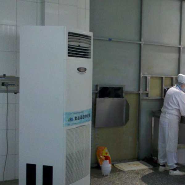 防城港食品正负离子空气杀菌器